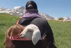 5 yaşındaki Şirin'in annesinin sırtında kuzuyla birlikte yayla yolculuğu
