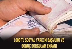 1000 TL sosyal yardım başvurusu sorgulama sayfası! Sosyal yardım parası başvurusu nasıl yapılır?
