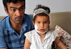 Kızını kurdun ağzından aldı! 'Poşet götürüyor sandık...'