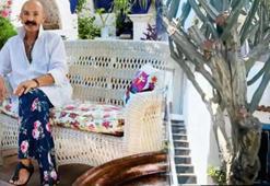 Cemil İpekçi 250 yıllık dev kaktüs için villa aldı