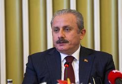 TBMM Başkanı Şentop: Türkiye yeni dünyada da söz sahibi olacaktır
