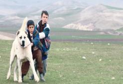 ‘Sivas’  MUBİ’de