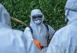 Ebola salgınında can kaybı artıyor