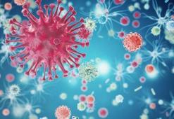 Bubonik veba nedir, hıyarcıklı veba belirtileri neler? Bubonik veba nasıl bulaşır?