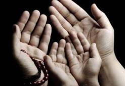 Şahmeran Duası Oku: Şahmeran Duası Türkçe Okunuşu, Anlamı ve Fazileti Nedir?