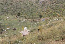 Van'da düşen uçaktan geriye parçalar kaldı