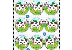 İkizimi bulur musun?