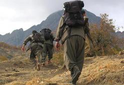 Terör örgütü PKK, hain saldırılarıyla 36 yıldır kan döküyor