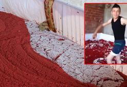 8 ton salça imha edildi