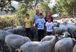 Günde 2 saat çalışıyorlar! Ayda 15 bin lira cepte...