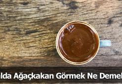 Falda Ağaçkakan Görmek Ne Demek? Kahve Falında Ağaçkakan Şekli Çıkması Ne Anlama Gelir?