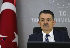Bakan Pakdemirli'den destek ve hibe müjdesi