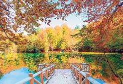 Sonbaharın gözde kültür turları