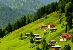 Rize Haritası: Rize İlçeleri Nelerdir? Rize İlinin Nüfusu Kaçtır, Kaç İlçesi Vardır?