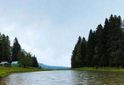 Pürenli Yaylası Bolu İlinde Nerededir Ve Nasıl Gidilir? Rakım Bilgileri Ve Özellikleri