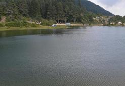 Karagöl Yaylası Sakarya İlinde Nerededir Ve Nasıl Gidilir? Rakım Bilgileri Ve Özellikleri