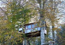 İnönü Yaylası Kocaeli İlinde Nerededir Ve Nasıl Gidilir? Rakım Bilgileri Ve Özellikleri