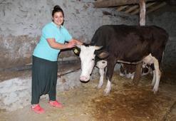 Şehir hayatını bıraktı! Sıfırdan başladı