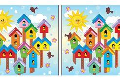 İkisi de kuş evi ama farkı resimde gizli