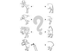 Bu hayvanların bacakları nerede?