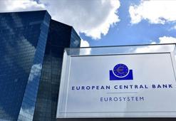 ECB: Sorunlu kredilerde artış olacak