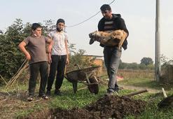 Komşusunun tüfekle öldürdüğü köpeğinin ardından gözyaşı döktü