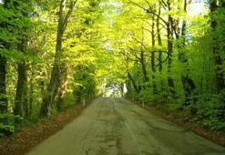 Ağva Gezilecek Yerler (2026) - Ağva Mutlaka Gezilmesi Gereken Yerlerin Listesi