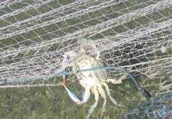 Bunu yapan yandı! Cezası 5 bin lira...