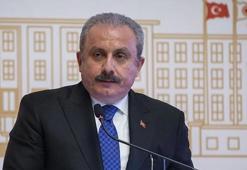 Meclis Başkanı Şentop: Cumhurbaşkanlığı Hükümet Sistemi avantajlıdır