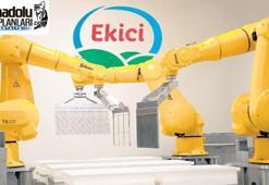 Tam otomasyon peynir üretiyor