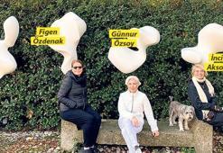 Doğada sanat