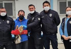 Erzurum'da bitkin halde bulunan kızıl şahin tedavisinin ardından doğaya salındı