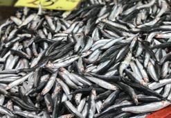 Hamsinin fiyatı yarı yarıya düştü