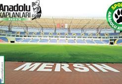 Gençlere teşvik şart