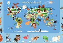 Hangi hayvan nerede yaşıyor?