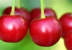 Kirazın Faydaları Nelerdir? Kiraz Sapı Neye İyi Gelir?