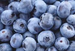 Yaban Mersini Faydaları Nelerdir? Kuru ve Taze Yaban Mersini Neye İyi Gelir, Nasıl Kullanılır?