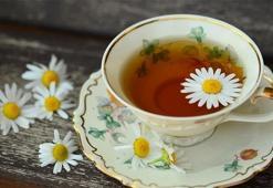 Papatya Çayı Faydaları ve Zararları Nelerdir? Papatya Çayı Neye İyi Gelir?