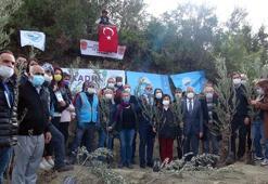 Erkek şiddetinde kaybettikleri evlatları için fidan diktiler