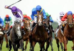 Atlar koşacak; hafta sonunda bahisler e-Bayi’den oynanacak!