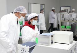 Dev güneş paneli fabrikasında üretim iki katına çıkıyor