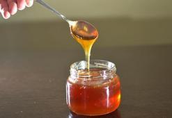 Türk balına en çok ilgi gösteren ülke Almanya oldu