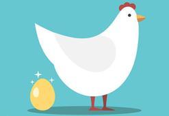Altın Yumurtlayan Tavuk Masalı Oku: Çiftçi tavukları çok severmiş…