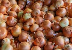 Çiğ Soğanın Faydaları Nelerdir? Çiğ Soğan Yemek Hangi Hastalıkları Önler?