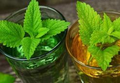 Melisa Çayı Nasıl Demlenir? Limonlu Melisa Çayı Nasıl Yapılır Ve Nasıl İçilir?