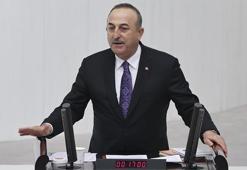 Son dakika! Bakan Çavuşoğlu'ndan skandal karar sonrası açıklama: Elimizin tersiyle ittik