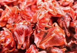 Hibiskus Çayı Faydaları ve Zararları Nelerdir? Hibiskus Çayı Nasıl Demlenir?