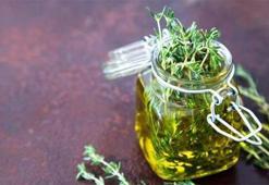 Kekiğin Faydaları Nelerdir? Kekik Yağı, Suyu ve Çayı Neye İyi Gelir, Nasıl Yapılır?