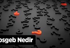 Kosgeb Nedir, Ne İşe Yarar? Kosgeb'ten Faydalanmak İçin Ne Yapılmalıdır?