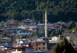 Nüfus 15 kat arttı! 'Korona ne zaman biterse o zaman dönerim'